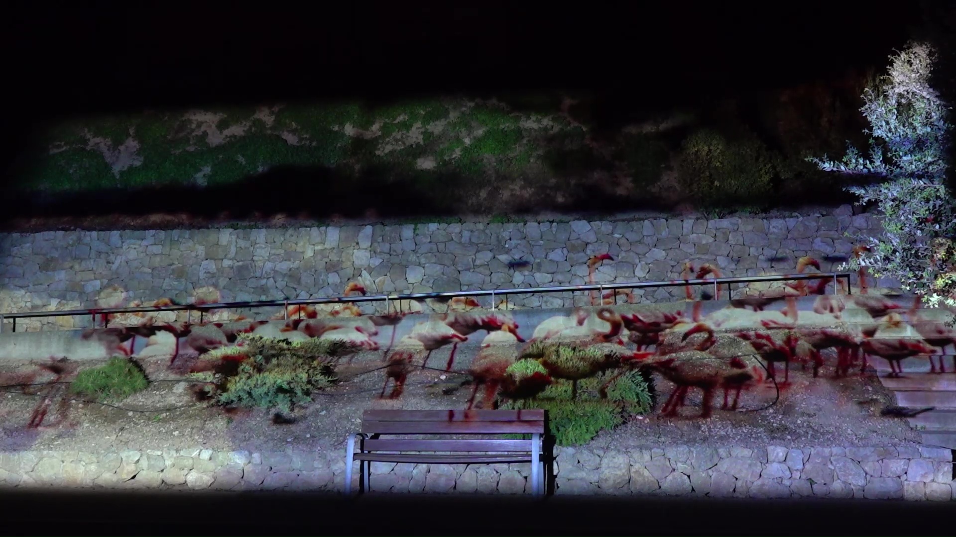 El Festival EbreLumen inicia la seva cinquena edició