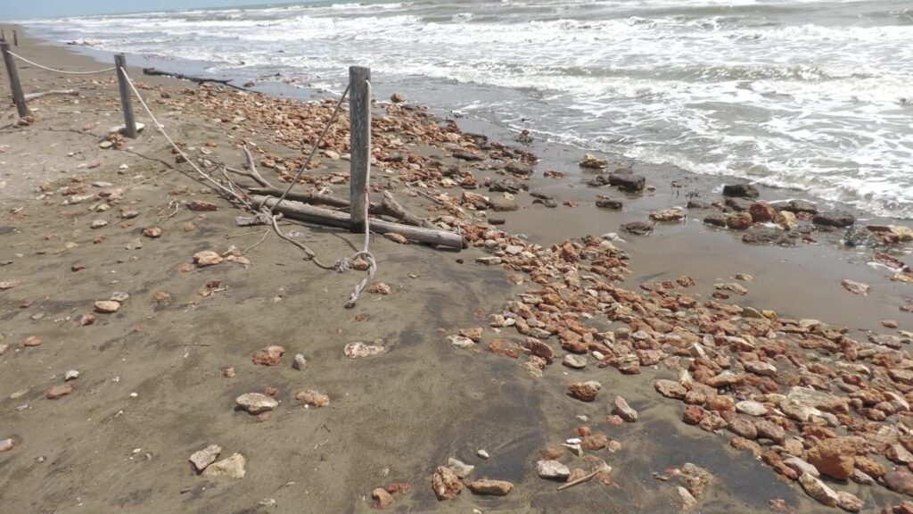 La costa ebrenca podria retrocedir fins a 50 metres en els pròxims anys
