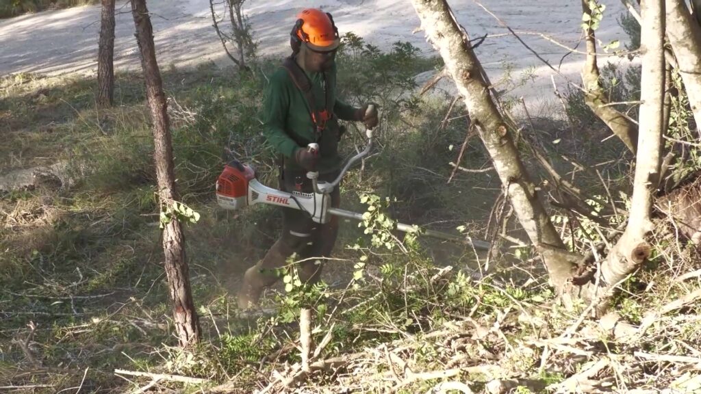 El COPATE coordina a Tivenys una ambiciosa actuació de gestió forestal en cinc camins i 9,5 km