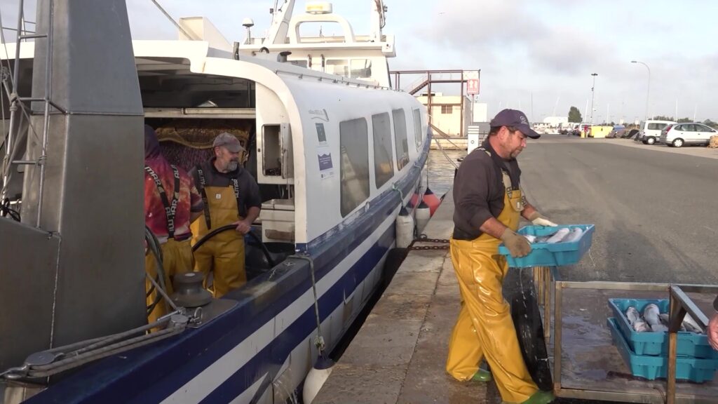 Europa assigna per al 2026 els mateixos dies de pesca per a l’arrossegament i el sector els considera insuficients