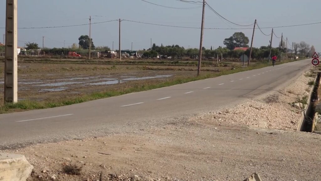 Onze empreses opten a a la licitació de les obres de la carretera de Poble Nou del Delta