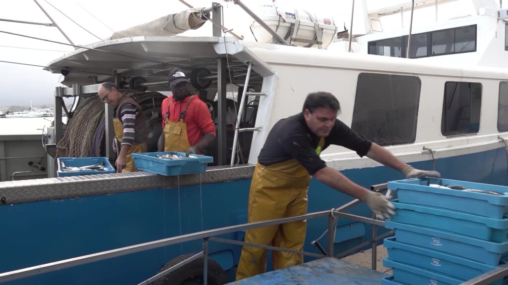 El Govern treballarà per a aconseguir els 180 dies de pesca que reclama la flota d’arrossegament