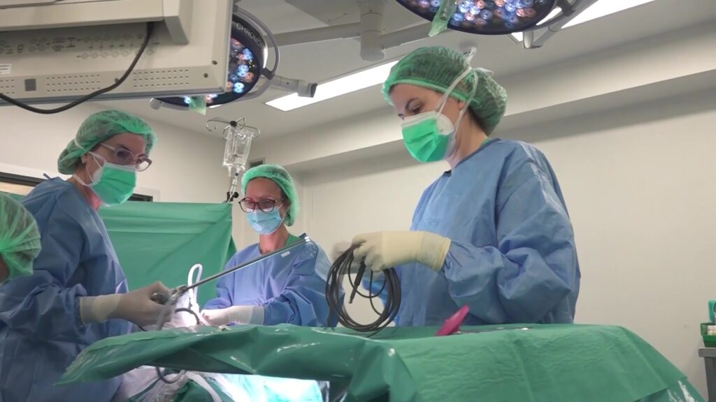Equip quirúrgic realitzant una intervenció oncològica amb tecnologia d'alta precisió a l'Hospital de Tortosa Verge de la Cinta, Baix Ebre.