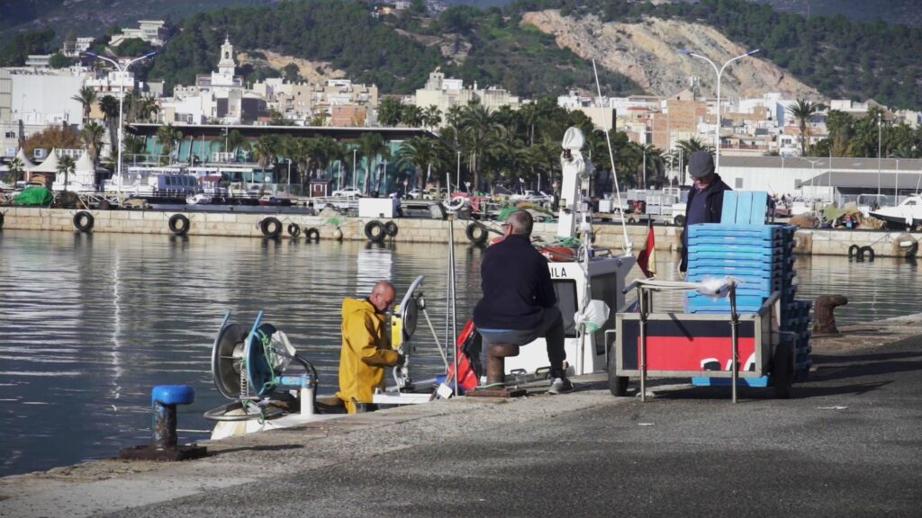 Pescadors treballant al port de la Ràpita amb caixes blaves i barques de pesca de fons, Terres de l'Ebre.