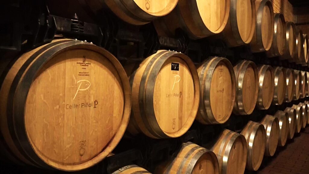 Bótes de vi de fusta al Celler Piñol de Gandesa, Terra Alta.