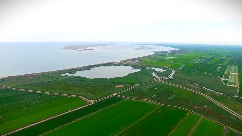 Vista aèria dels arrossars i les llacunes del delta de l'Ebre al municipi de Deltebre, Baix Ebre.