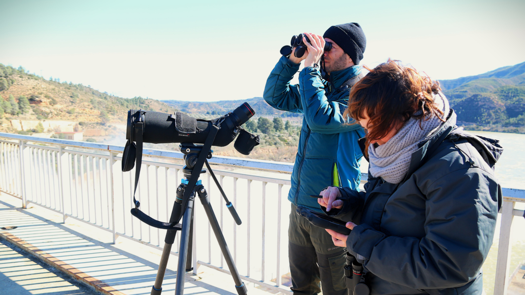 Tècnics ambientals de Biodiversity Node realitzant observacions de fauna a la zona de la Fatarella i Flix, Terres de l'Ebre.