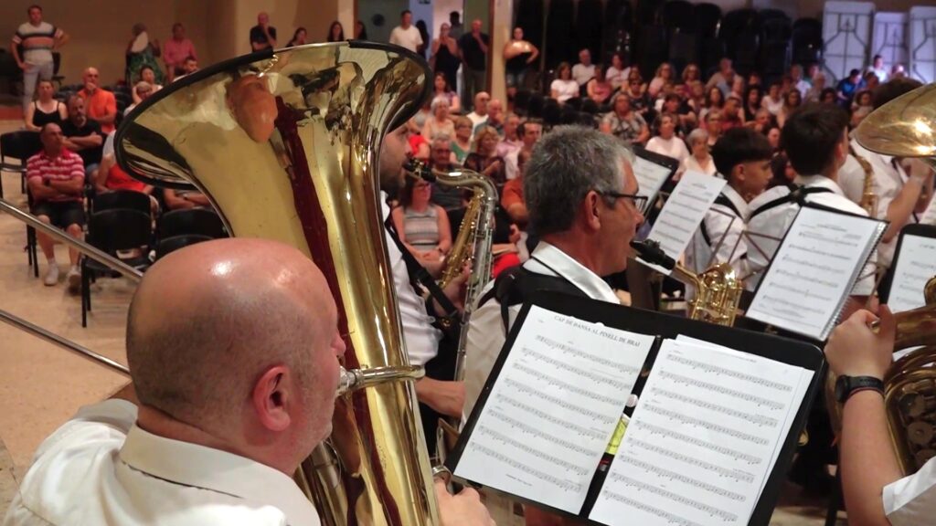Músics de la Banda de Música de Benissanet tocant instruments de vent en un concert a la Ribera d'Ebre.