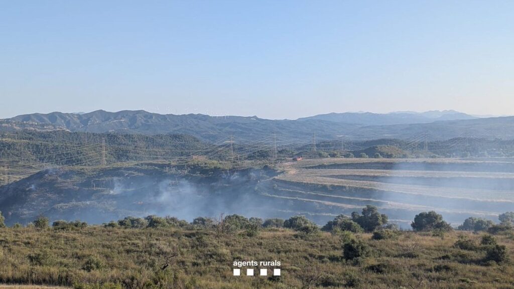 Un incendi a Vinebre calcina 12 hectàrees i deixa un ferit Incendi a Vinebre