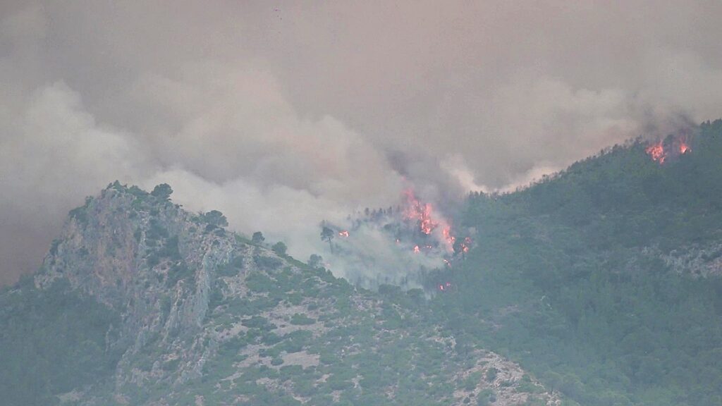 Incendi forestal afectant una zona de muntanya a les Terres de l'Ebre amb columnes de fum i flames actives entre els pins.