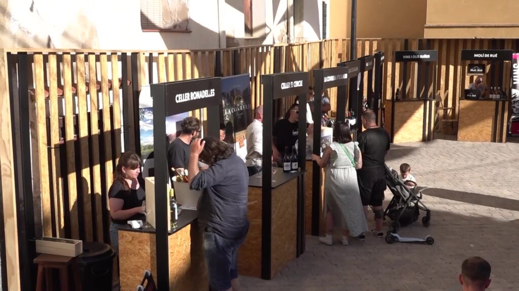 Stands de cellers i degustació de vins a la fira Tastavins d'Ascó, Ribera d'Ebre