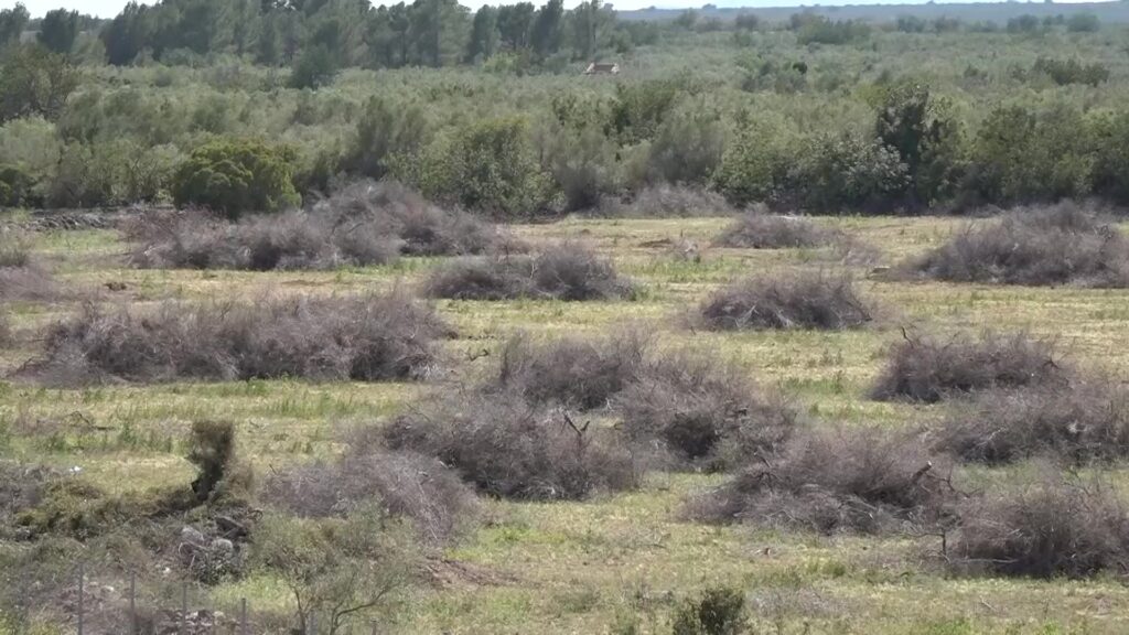 El COPATE adjudica les obres d’ampliació del dipòsit controlat de residus de Mas de Barberans