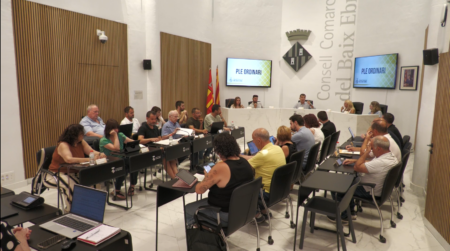 Sessió plenària del Consell Comarcal del Baix Ebre a Tortosa on es debaten els programes d'ocupació i habitatge.