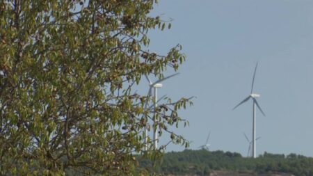 Diversos aerogeneradors eòlics en funcionament sobre una carena muntanyosa de Gandesa a la Terra Alta darrere d'un arbre ametller en primer pla.