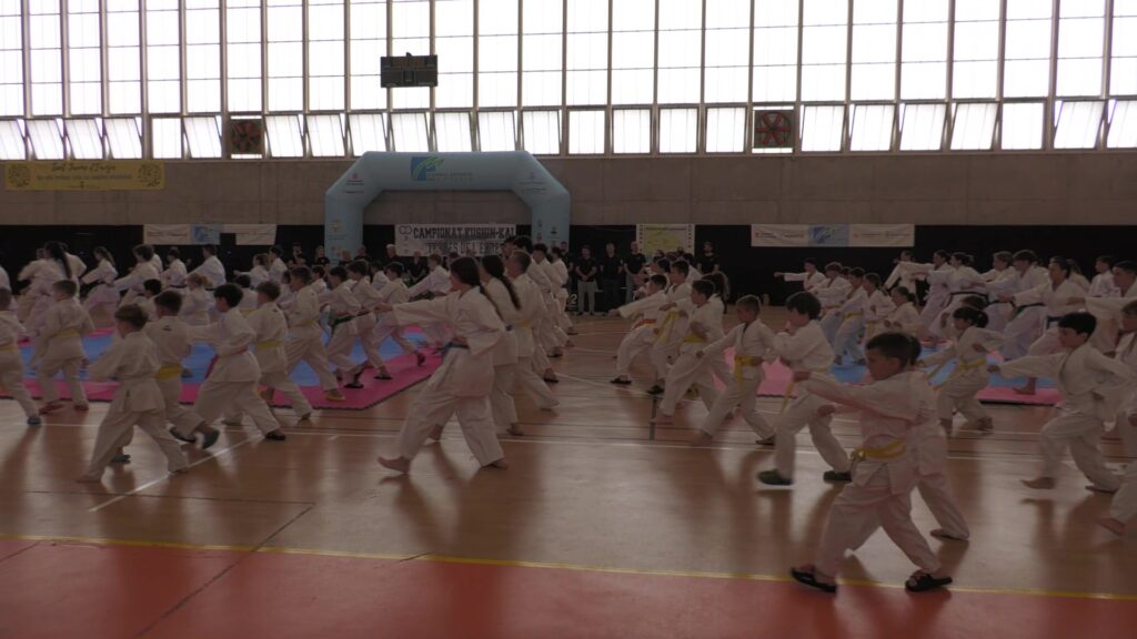 Competidors de karate realitzant una kata conjunta al pavelló de Sant Jaume d'Enveja, Terres de l'Ebre.