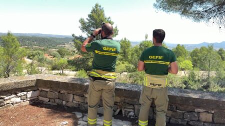Dos operaris del GEPIF vigilen el paisatge forestal de la Terra Alta amb prismàtics durant la campanya d'incendis.