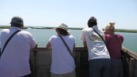 El Parc Natural del Delta de l’Ebre posa a punt les infraestructures de cara a l’estiu Mirador al riu Ebre a Deltebre, Baix Ebre.
