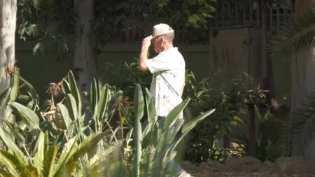 Un home caminant per una zona d'ombra natural en un parc públic durant l'estiu, al Baix Ebre.