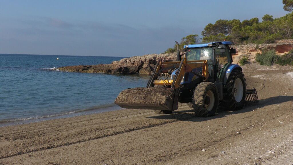 Un tractor realitza tasques de neteja mecànica a la sorra d'una platja de l'Ametlla de Mar.