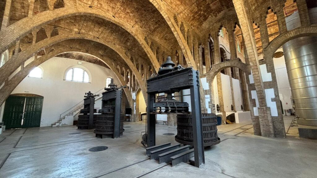 Interior de la Catedral del Vi de Gandesa a la Terra Alta amb les seues premses històriques i arcs de maons vists.