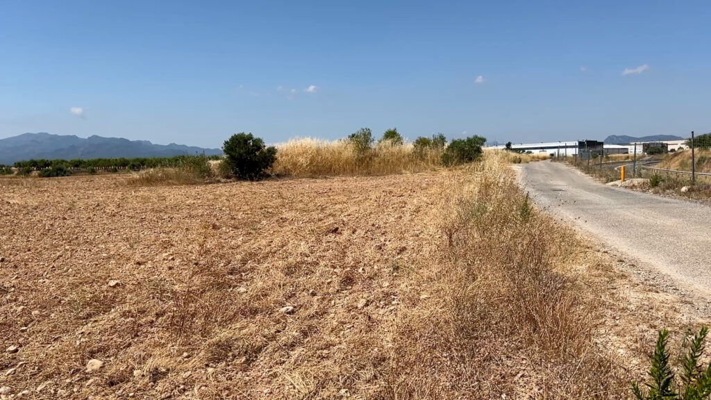 Terrenys agrícoles on es projectarà l'ampliació de la tercera fase del polígon industrial la Verdeguera a Móra d'Ebre, Ribera d'Ebre.