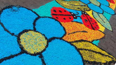 Les flors brotaran als carrers de la Cala amb motiu de Corpus, este cap de setmana