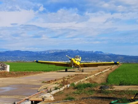El COPATE inicia els primers tractaments contra les larves de mosquit als arrossars del delta de l’Ebre