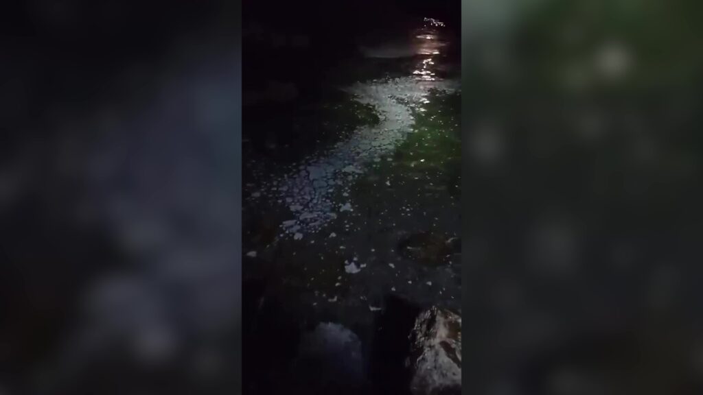 Imatge nocturna de la taca d'escuma blanca i viscosa apareguda a la platja de Pixavaques a l'Ametlla de Mar, Baix Ebre.