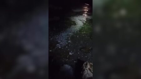 Imatge nocturna de la taca d'escuma blanca i viscosa apareguda a la platja de Pixavaques a l'Ametlla de Mar, Baix Ebre.