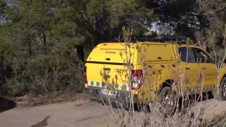 Vehicle de prevenció d'incendis forestals al Perelló (Baix Ebre)