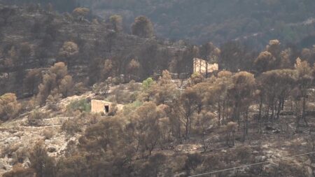 Terreny forestal i agrícola cremat per l'incendi del Baix Ebre