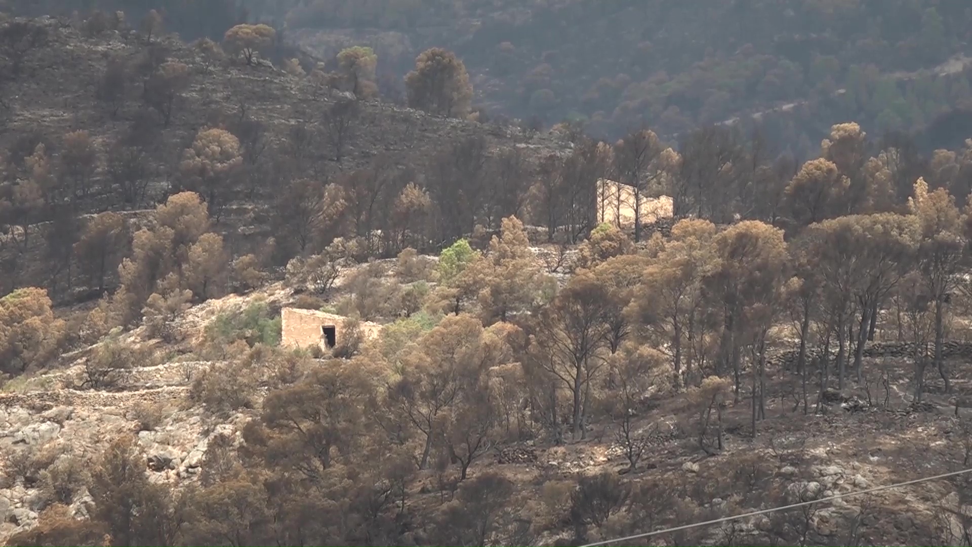 Agricultura activa 3,79 milions en ajuts per als damnificats pels aiguats i l’incendi del Baix Ebre Terreny forestal i agrícola cremat per l'incendi del Baix Ebre