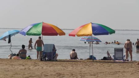 La calor persistent i el mar calent anticipen un risc més gran d’aiguats a la tardor després d’un estiu de rècord Banyistes a la platja de les Terres de l'Ebre durant un episodi de calor intensa a l'estiu