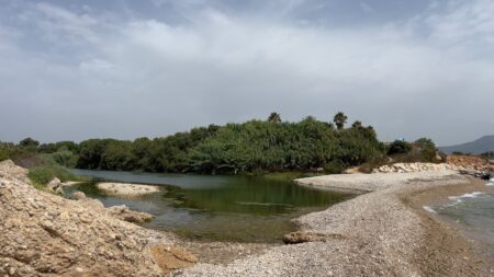 Alcanar inicia un projecte per a renaturalitzar i protegir l’espai natural de Sòl de Riu Vista panoràmica de la desembocadura del riu Sénia a Sòl de Riu